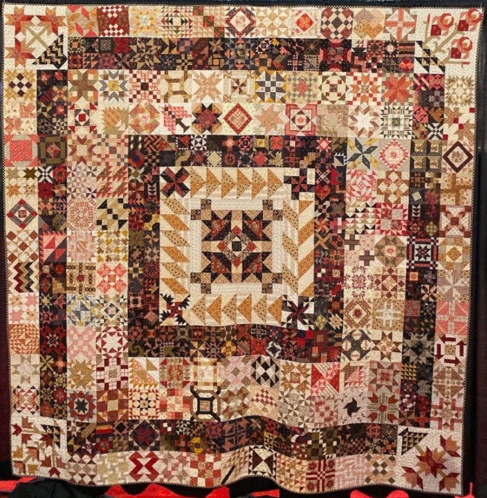 "365 Quilt Challenge 2016" by Ann Elise Alexander with Wilma Alexander